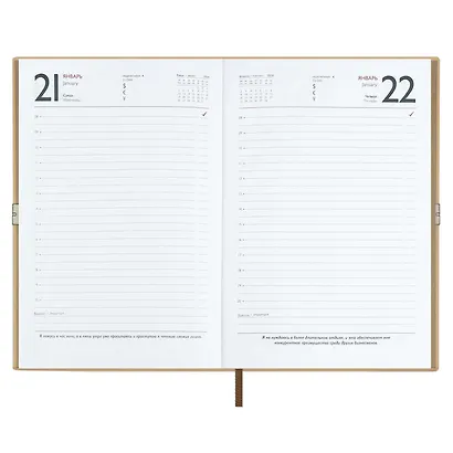 Ежедневник дат. 2026г. А5 176л "Тиволи глосс" бежевый, кожзам, мягк. переплет, застёжка-резинка, блинт.тиснение, офсет, справ.мат-лы, ляссе, инд.уп - фото 11