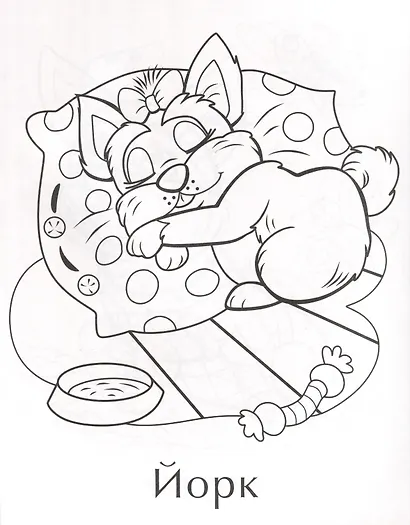 Собачки - фото 2