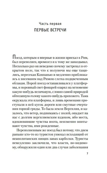 Мост короля Людовика Святого - фото 11