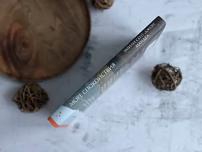 Море спокойствия - фото 10