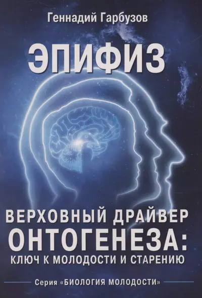 Эпифиз – верховный драйвер онтогенеза: ключ к молодости и старению - фото 1