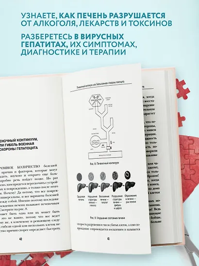 О чем молчит печень. Как уловить сигналы самого крупного внутреннего органа, который предпочитает оставаться в тени - фото 8