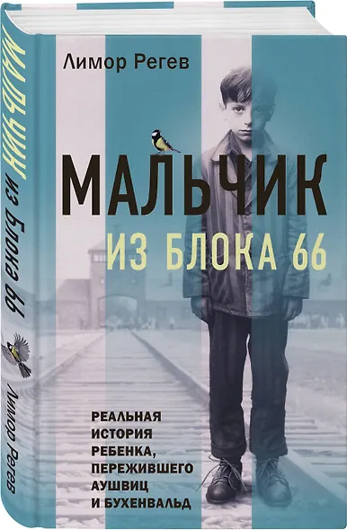 Мальчик из Блока 66: реальная история ребенка, пережившего Аушвиц и Бухенвальд - фото 3
