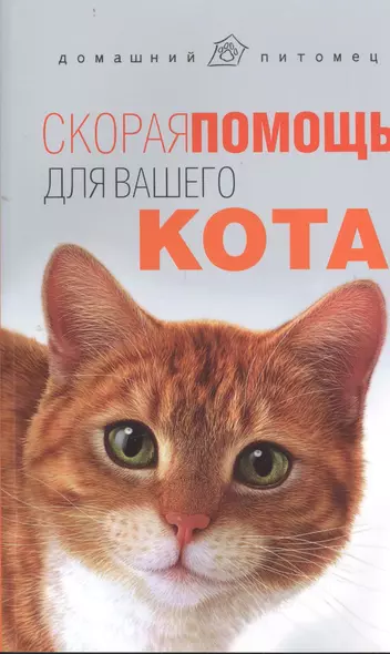 Скорая помощь для вашего кота - фото 1