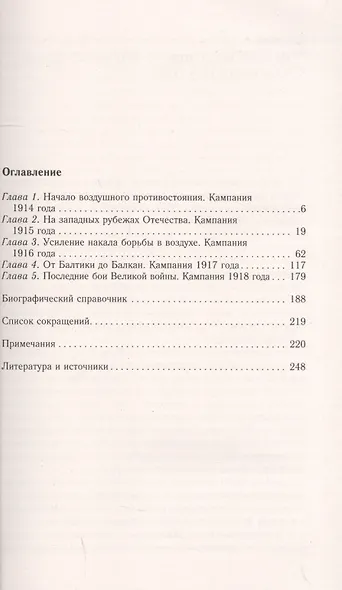 Воздушный фронт Первой мировой. Борьба за господство в воздухе на русско-германском фронте (1914—1918) - фото 2