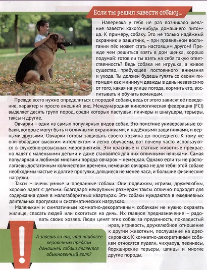 Энциклопедия для мальчиков - фото 5