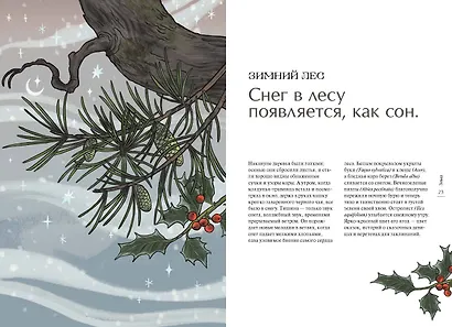 4 сезона волшебства. Тайные послания и рецепты, нашептанные лесом - фото 4