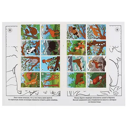 Раскраска. 16 цветных наклеек. Наклей и раскрась. Дикие животные - фото 4