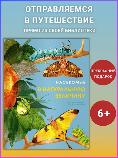 Насекомые в натуральную величину - фото 3