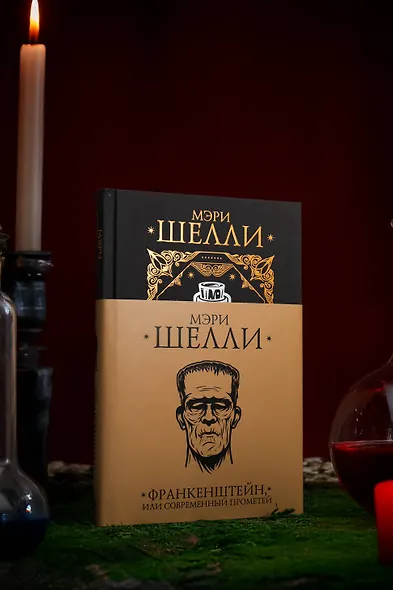 Франкенштейн, или современный Прометей - фото 8