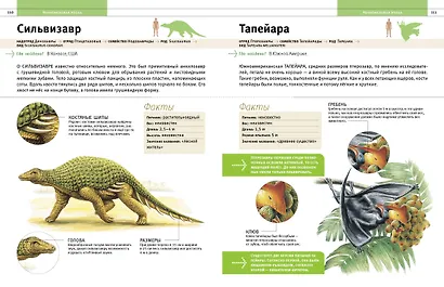 Динозавры и другие древние животные Земли - фото 8