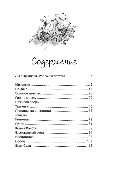 Золотое детство. Рассказы - фото 6