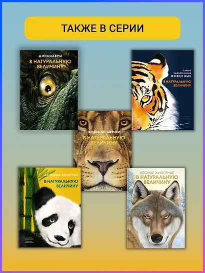 Насекомые в натуральную величину - фото 6