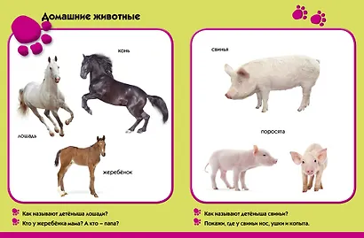 Лето в деревне. Развиваем малыша (1-2 года) - фото 2