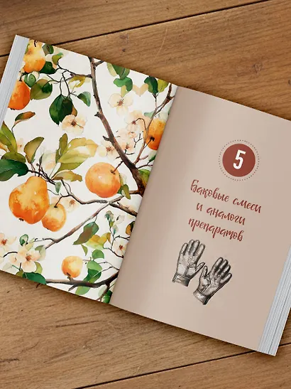 Шпаргалка для садовода. Практические советы по работам в малоуходном саду от Татьяны Селезневой - фото 13