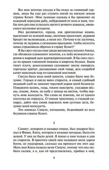 Египтянин - фото 10