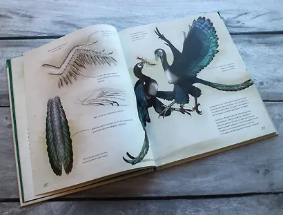 Юрский период. Динозавры и другие доисторические животные - фото 5