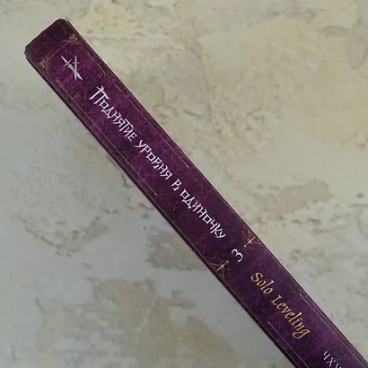 Поднятие уровня в одиночку. Книга 3 (Solo Leveling). Новелла - фото 8