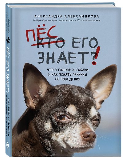 Пес его знает! Что в голове у собаки, и как понять причины ее поведения - фото 3