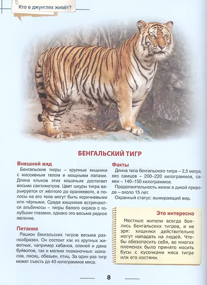 Энциклопедия для детей кто в джунглях живет? - фото 5