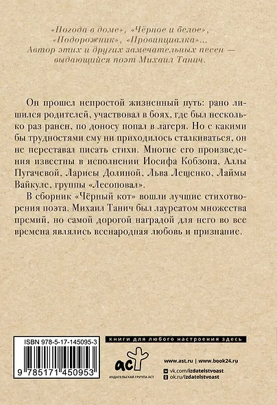 Чёрный кот - фото 2