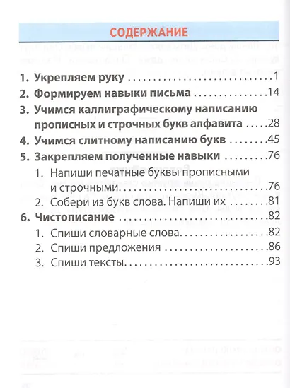 Русский язык. 1 класс. Тренажёр классический - фото 2