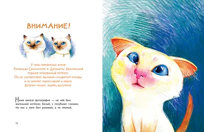 Бонифаций ищет дом - фото 9