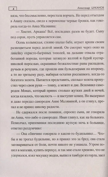 Смерть старателя - фото 4