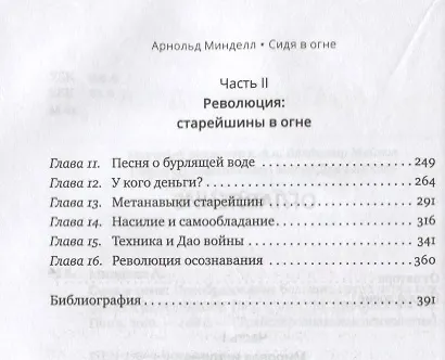 Сидя в огне: преобразование больших групп через конфликт и разнообразие - фото 3