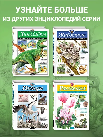 Динозавры. Полная энциклопедия - фото 6
