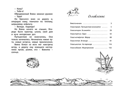 Солнечный мальчик - фото 8