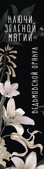 Ключи Зеленой магии. Ведьмовской оракул - фото 9