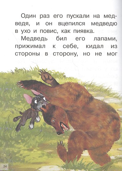 Рассказы о животных - фото 4