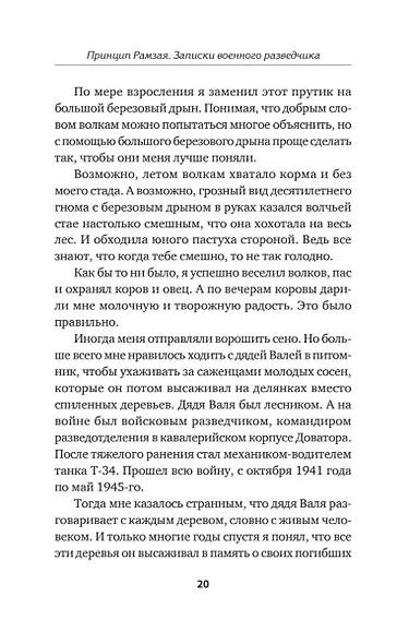 Принцип Рамзая. Записки военного разведчика - фото 13
