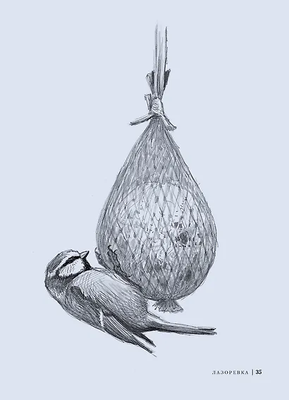 Птицы: Крылатые чудеса природы - фото 4