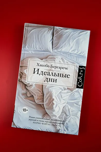 Идеальные дни - фото 4