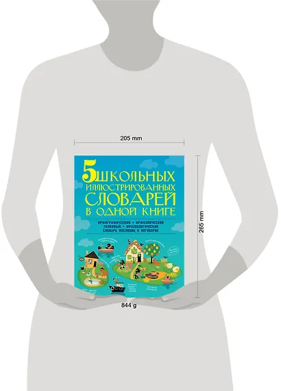 5 школьных иллюстрированных словарей в одной книге. Орфографический. Орфоэпический. Толковый. Фразеологический. Словарь пословиц и поговорок - фото 3