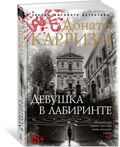 Девушка в лабиринте. Цикл Мила Васкес. Книга 3 - фото 3