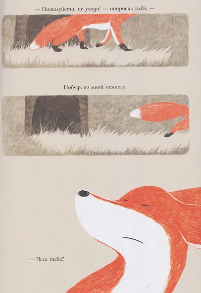 Лисичка и клён - фото 4