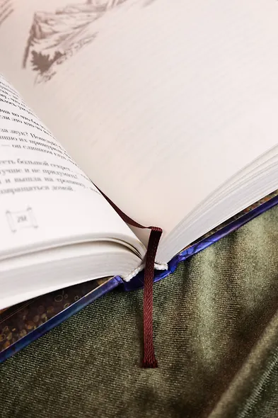 Крылья золотой птицы. Гоцюй - фото 14