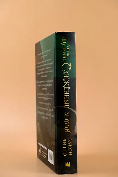 Сожженные земли. Закон дитто - фото 10