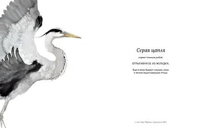 Такие разные ПТИЦЫ в произведениях искусства - фото 4