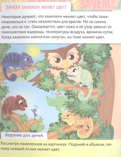 От чего и почему? Зачем это нужно? - фото 4
