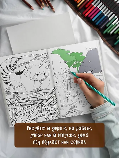 Удивительные животные: Мини-раскраска-антистресс для творчества и вдохновения (ленивец) - фото 8