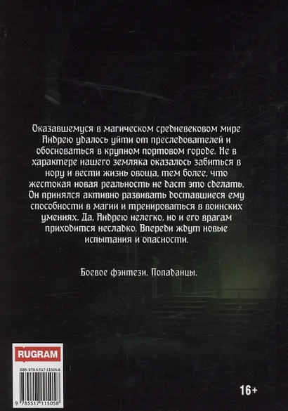 Попаданец. Маг Тени. Книга 2 - фото 2