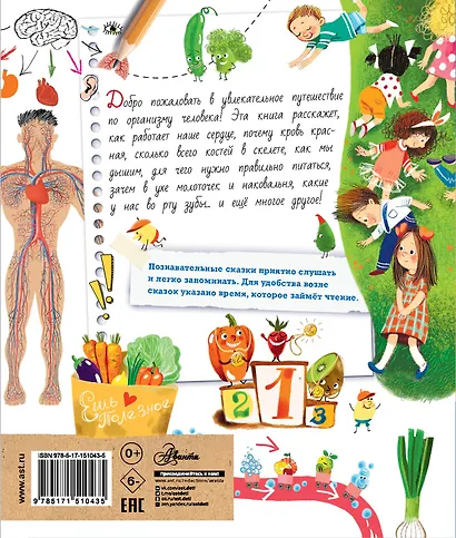 Почемучкины сказки о том, как устроен человек - фото 2