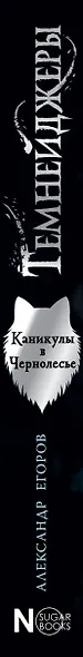Темнейджеры. Каникулы в Чернолесье - фото 8