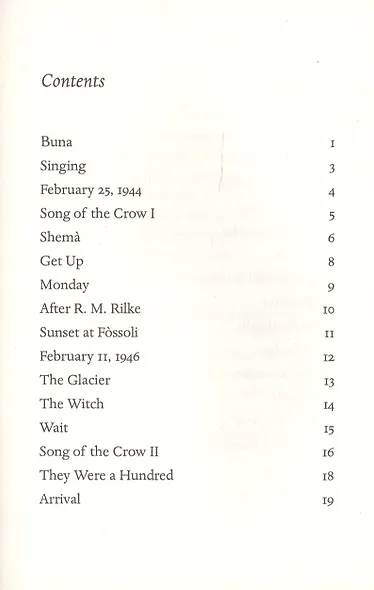 The Survivor - фото 2