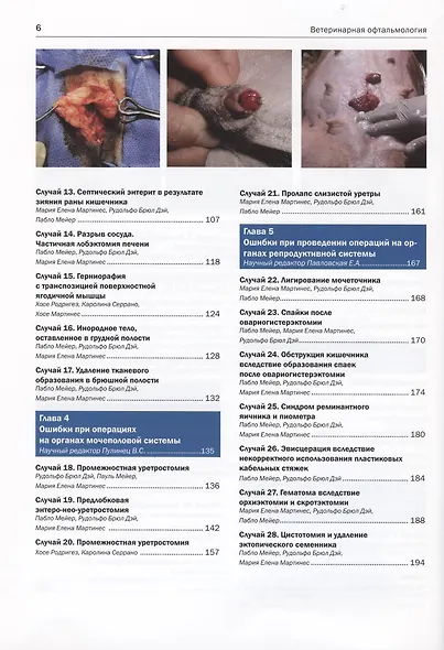 Ошибки и осложнения хирургии собак и кошек. Разбор клинических случаев. Обучающее видео - фото 3