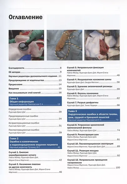 Ошибки и осложнения хирургии собак и кошек. Разбор клинических случаев. Обучающее видео - фото 2
